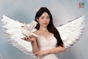 天使与白鸽