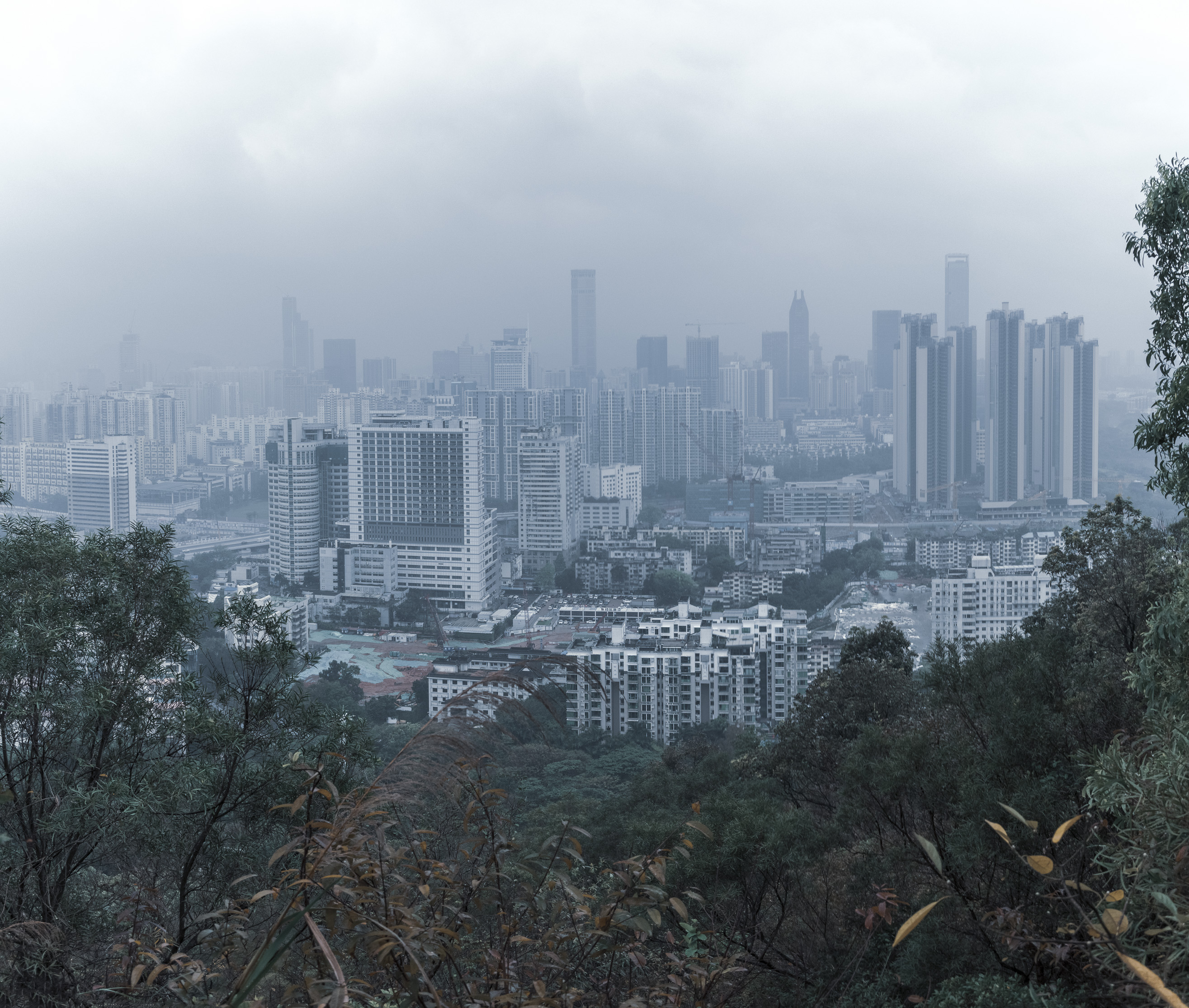 清明清晨雨朦朦