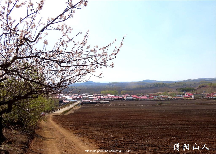 宝清县风景{庄园村景色}清阳山人