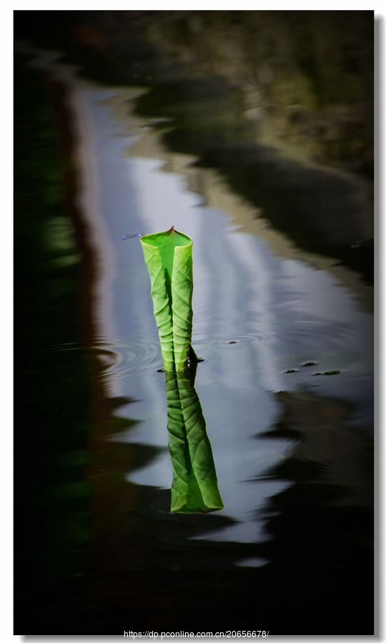 ɫ