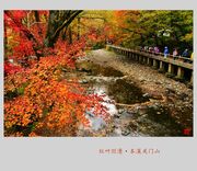 红叶烂漫·本溪关门山