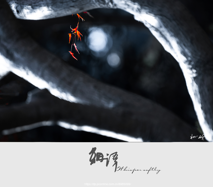 һҶ