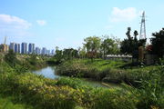 遂宁城市印象（22）九莲洲湿地公园