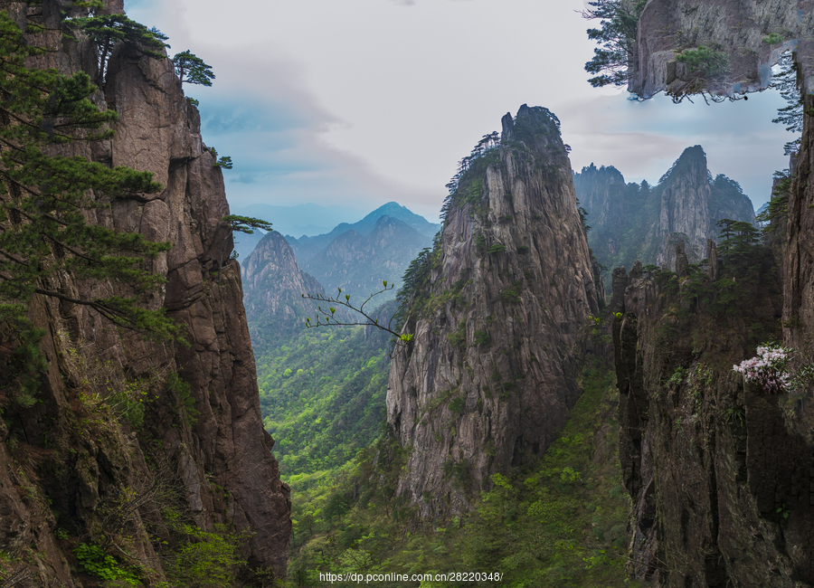 黄山奇峰图图片