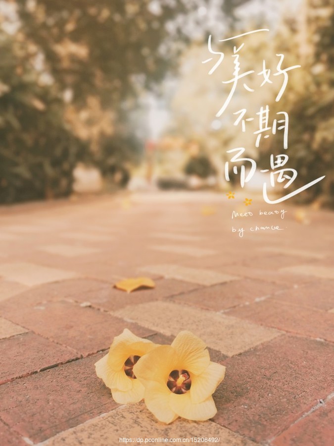 òڶ
