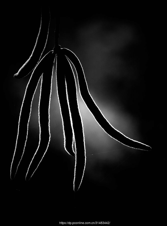 ʰ