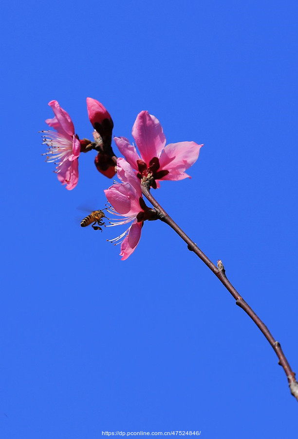 һ(2)