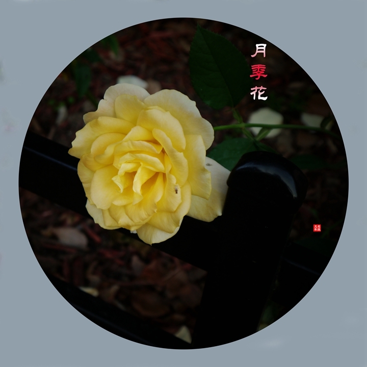 2024¼һ