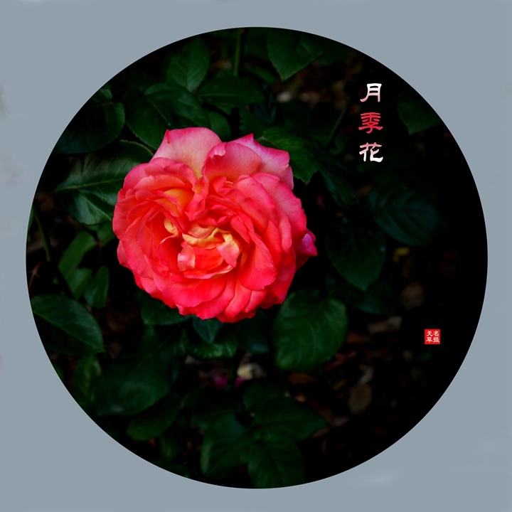 2024¼һ