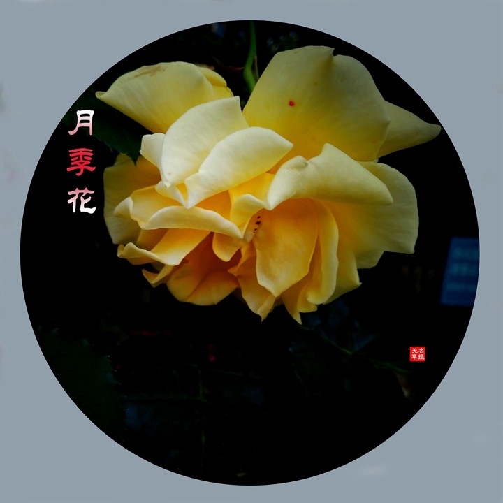2024¼һ