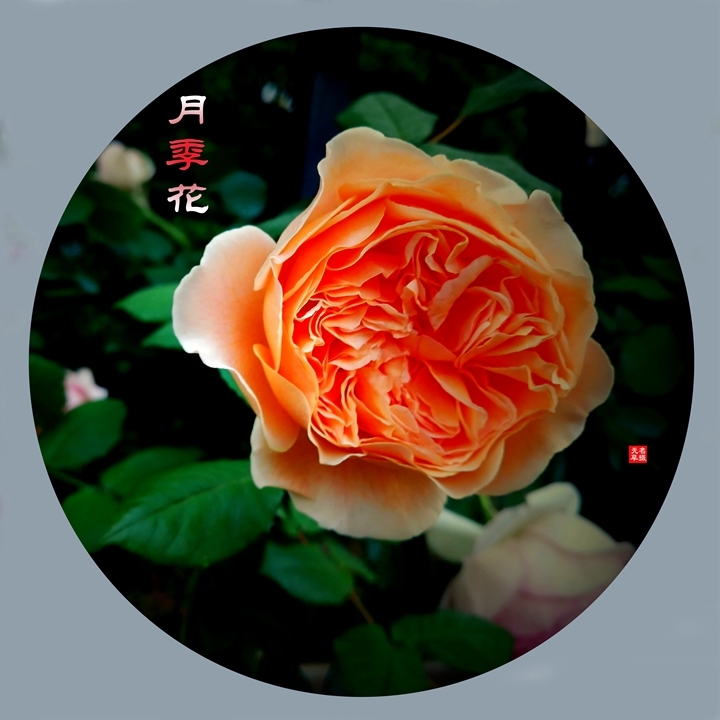 2024¼һ
