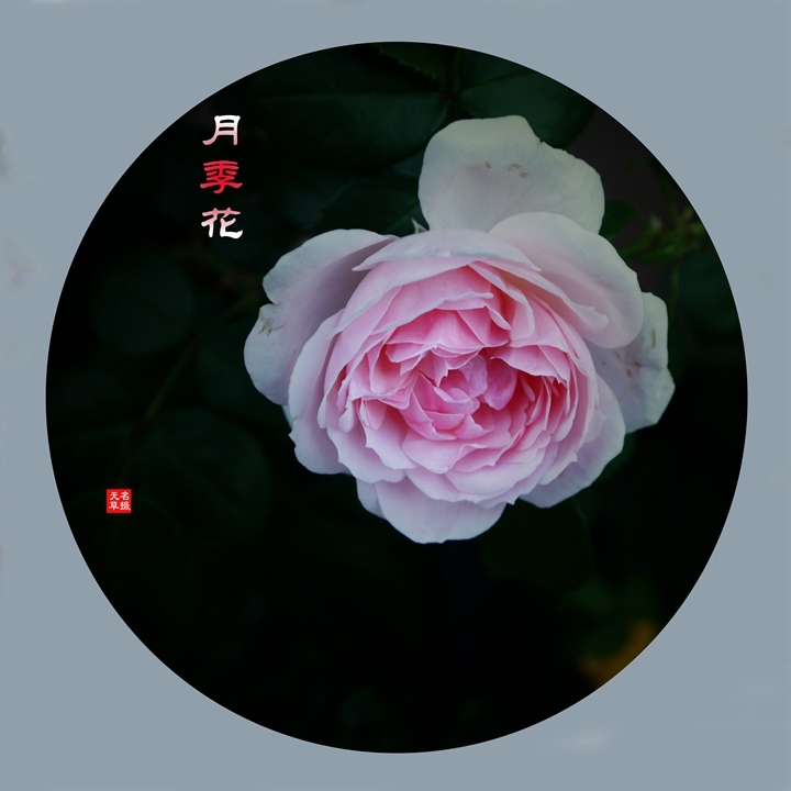 2024¼һ