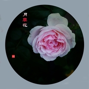 2024¼һ