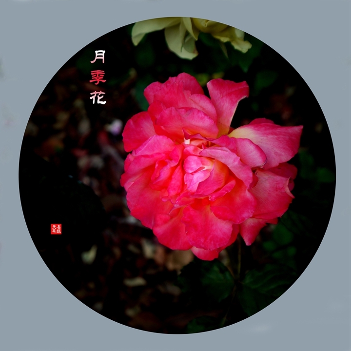 2024¼һ