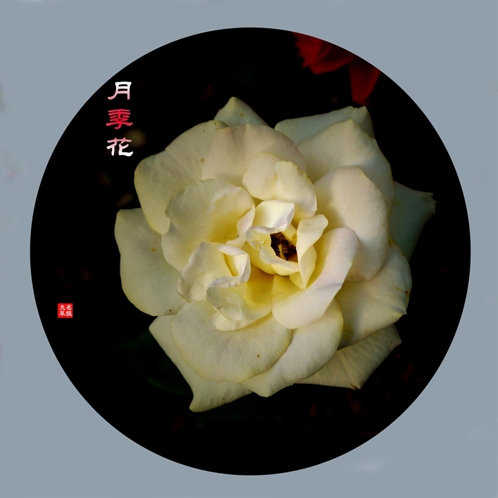 2024¼һ