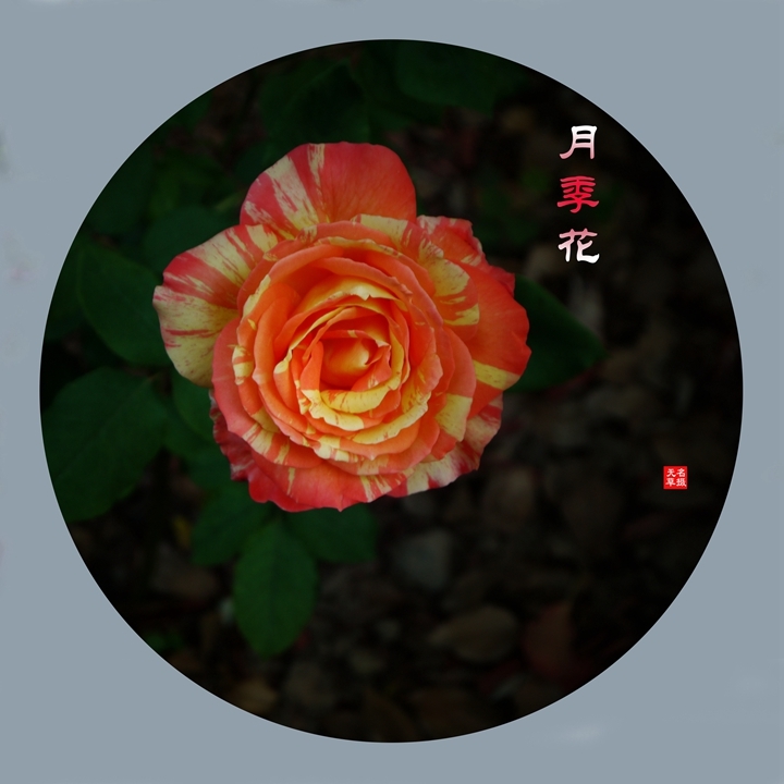 2024¼һ