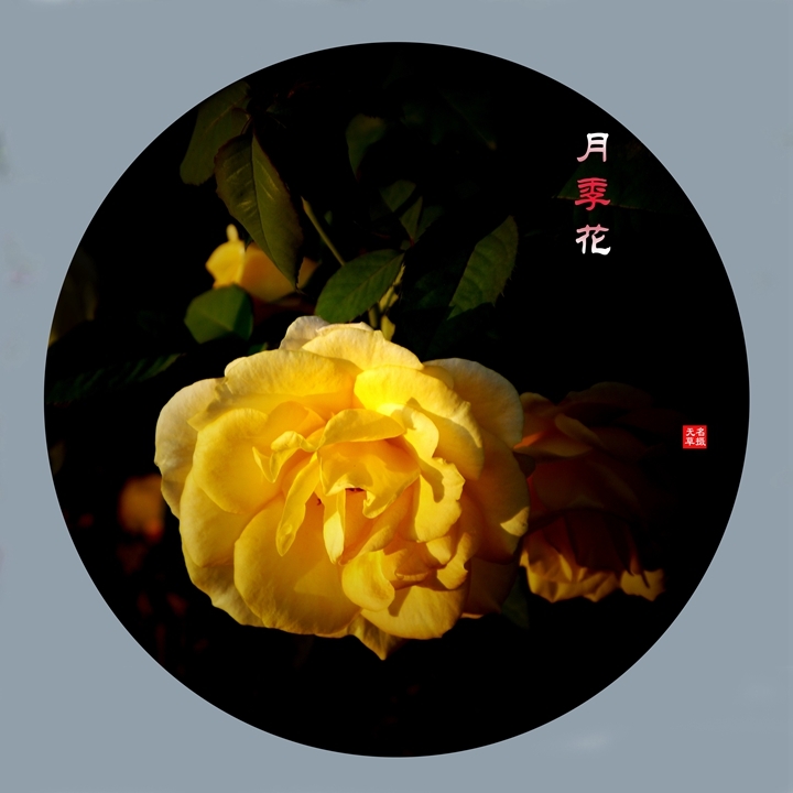 2024¼һ