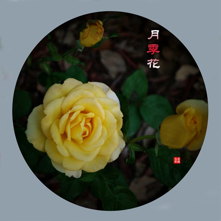 2024¼һ