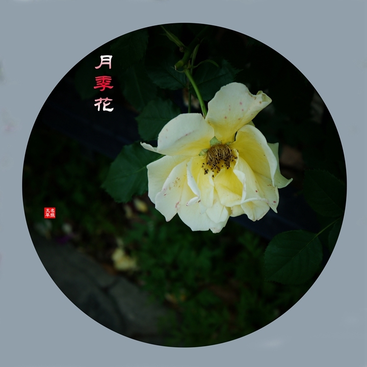 2024¼һ