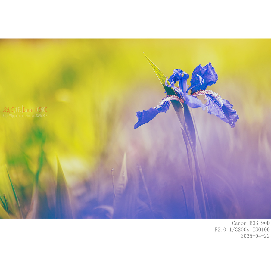 250422 β