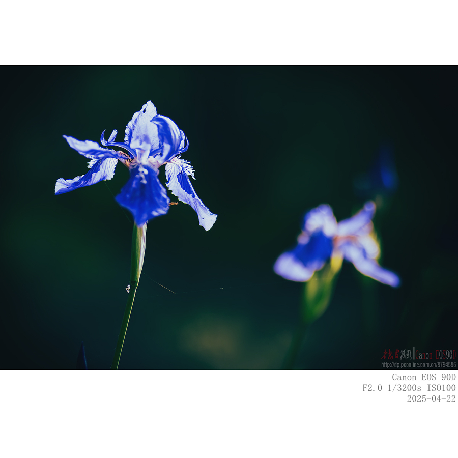 250422 β