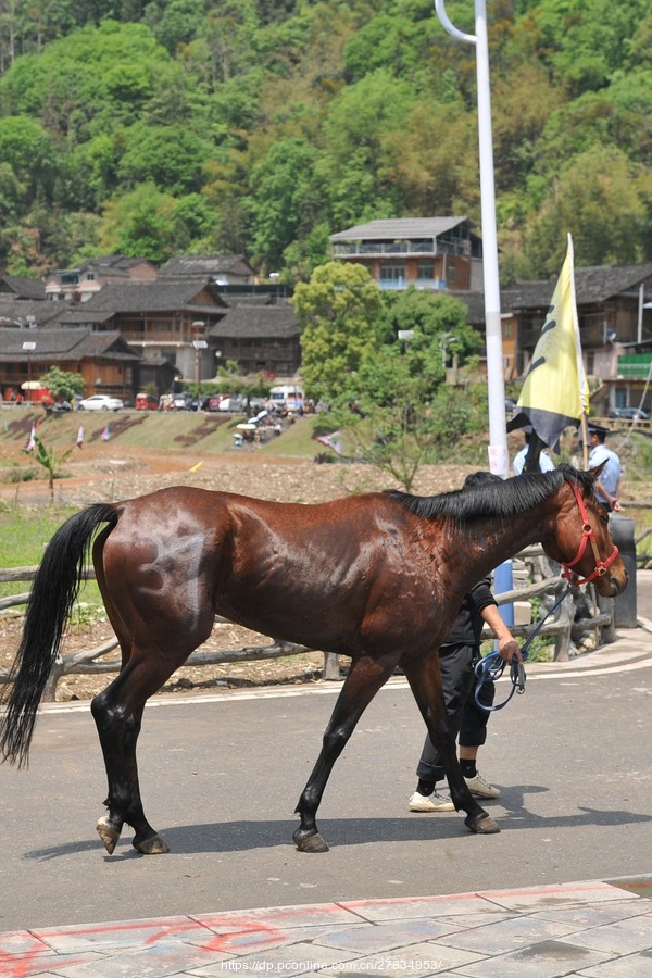 ˮĻ