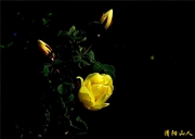 ػܣƴõɽ