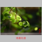 峿ֵ