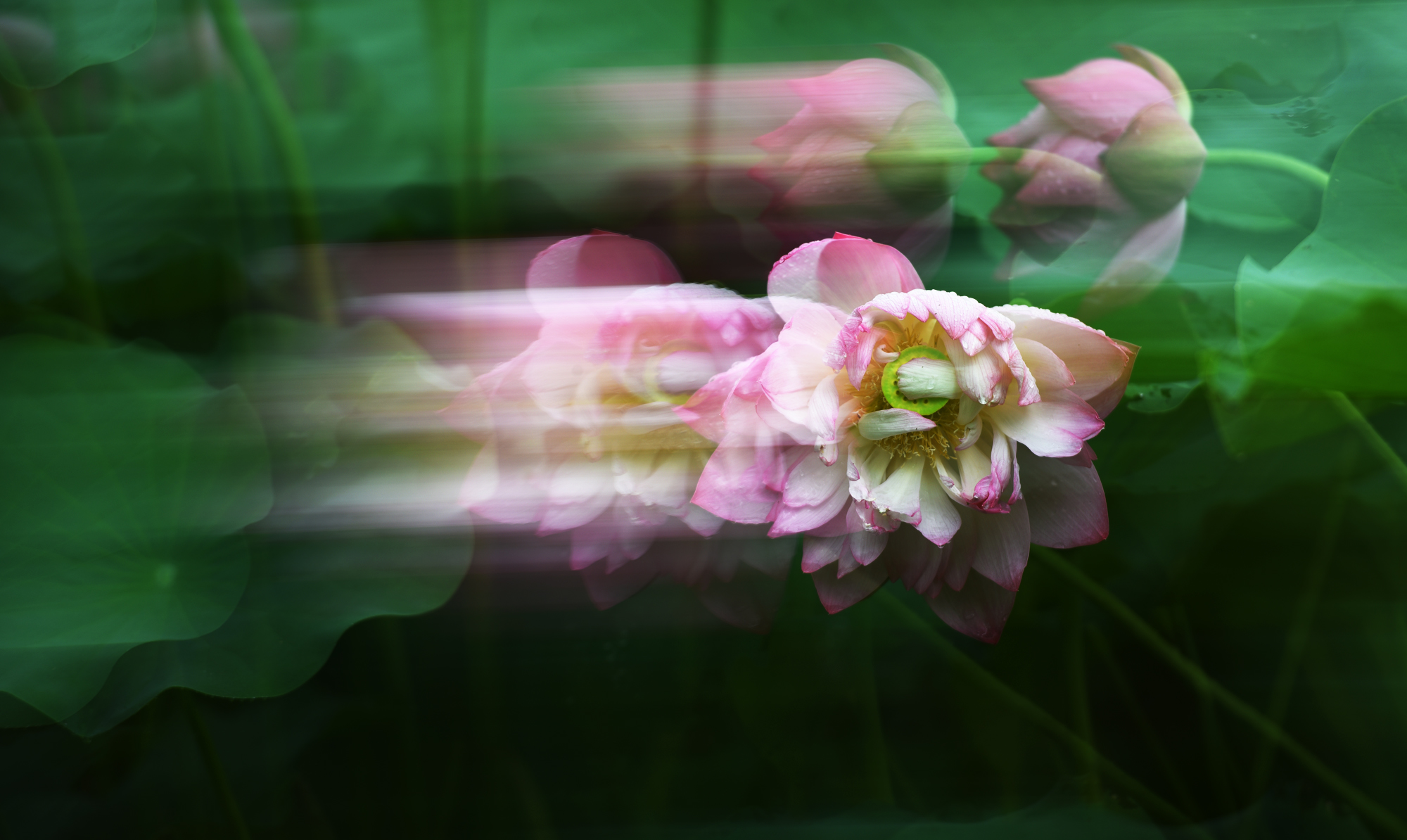 ҡӰƮ