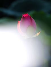 ʰ