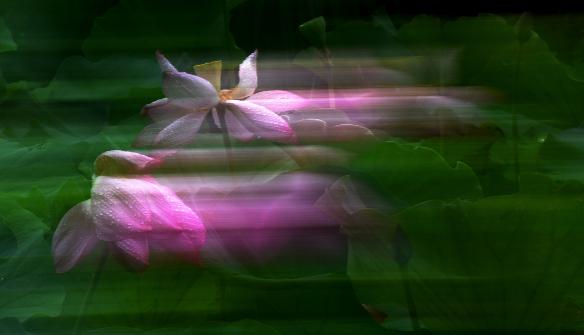 Ӱҡ