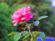 9390ֲ2643