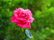 9418ֲ2650