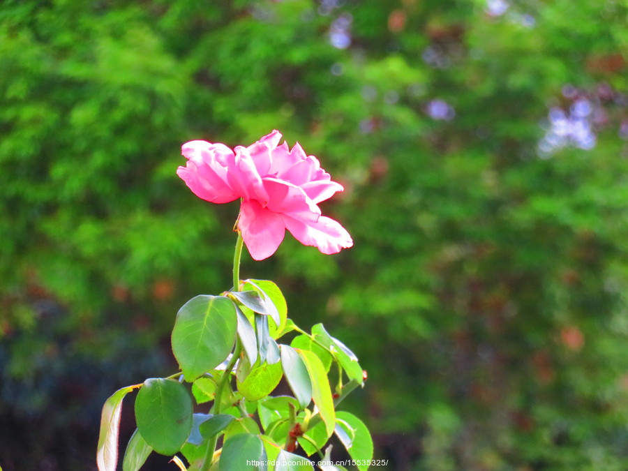 9418ֲ2650