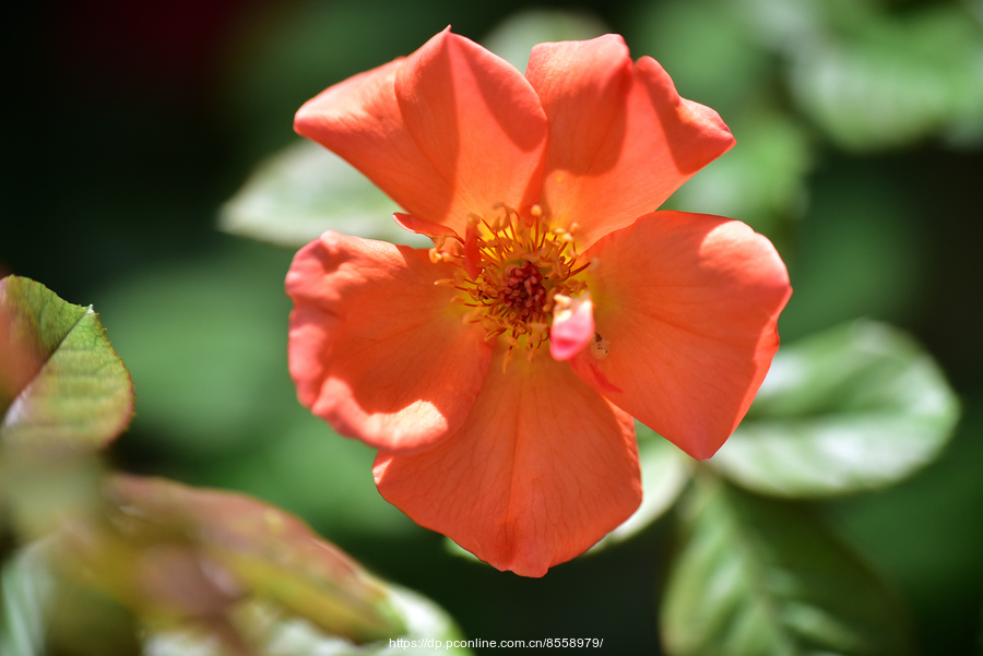 yyyyyyyyyyyyyyyyyyyyyyyyyyyyy