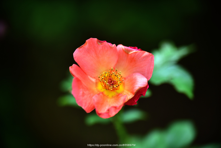 yyyyyyyyyyyyyyyyyyyyyyyyyyyyy