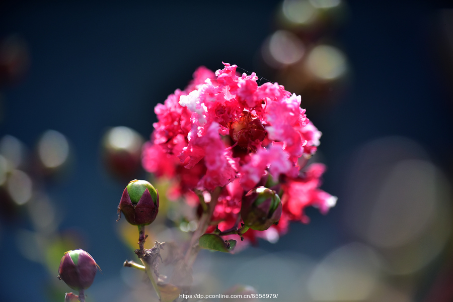 yyyyyyyyyyyyyyyyyyyyyyyyyyyyy