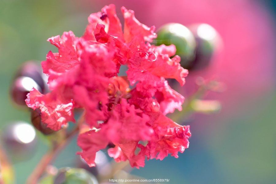 yyyyyyyyyyyyyyyyyyyyyyyyyyyyy