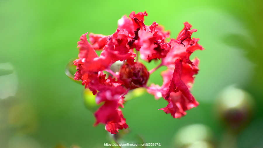 yyyyyyyyyyyyyyyyyyyyyyyyyyyyy