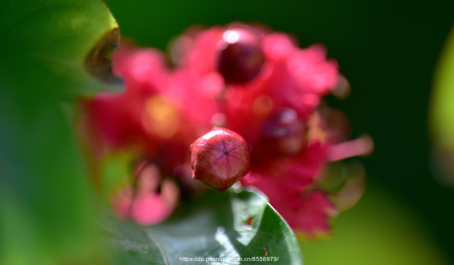 yyyyyyyyyyyyyyyyyyyyyyyyyyyyy