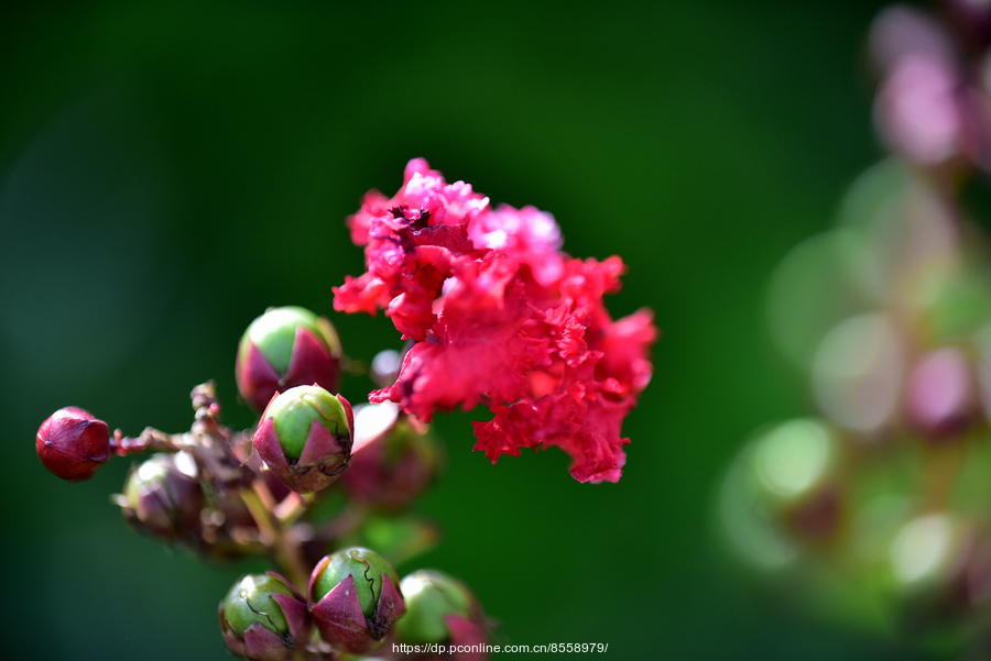 yyyyyyyyyyyyyyyyyyyyyyyyyyyyy