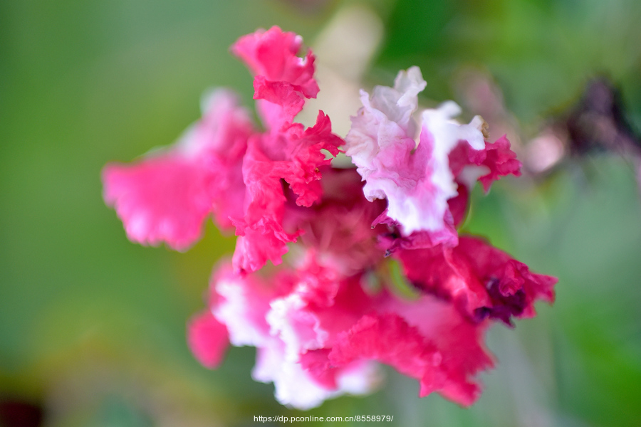 yyyyyyyyyyyyyyyyyyyyyyyyyyyyy