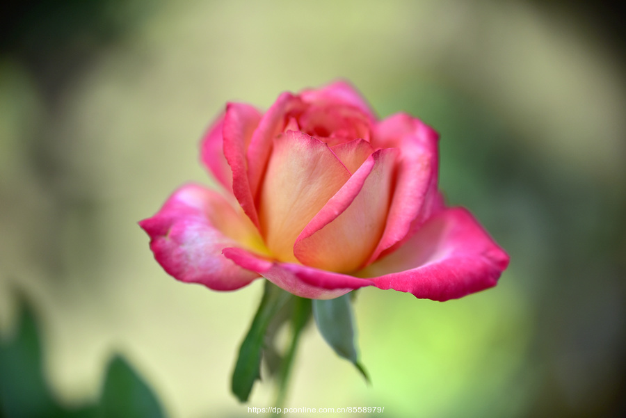 yyyyyyyyyyyyyyyyyyyyyyyyyyyyy