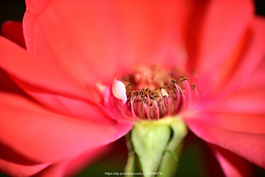 yyyyyyyyyyyyyyyyyyyyyyyyyyyyy